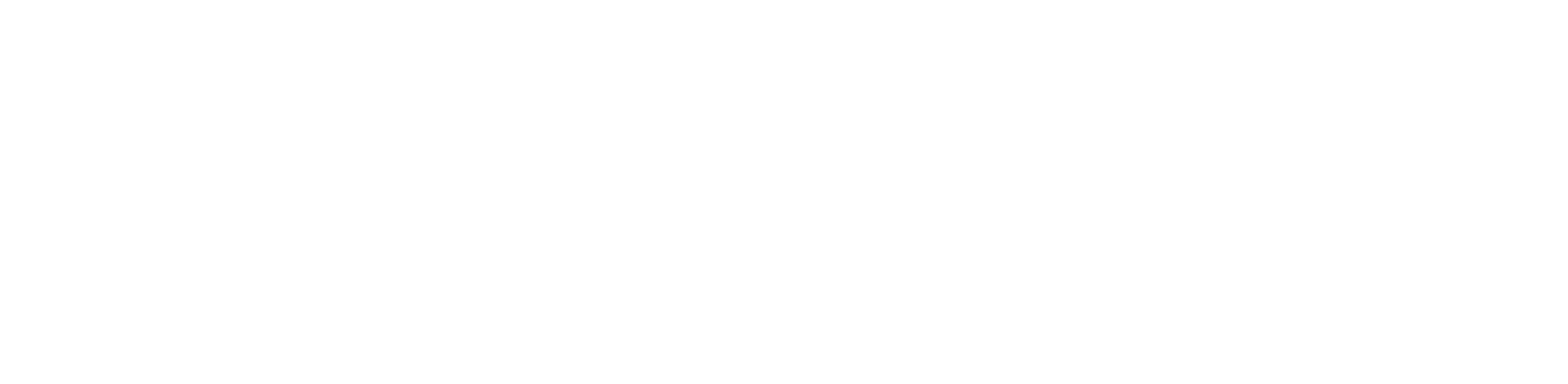 BWT 2027 (White Logo)