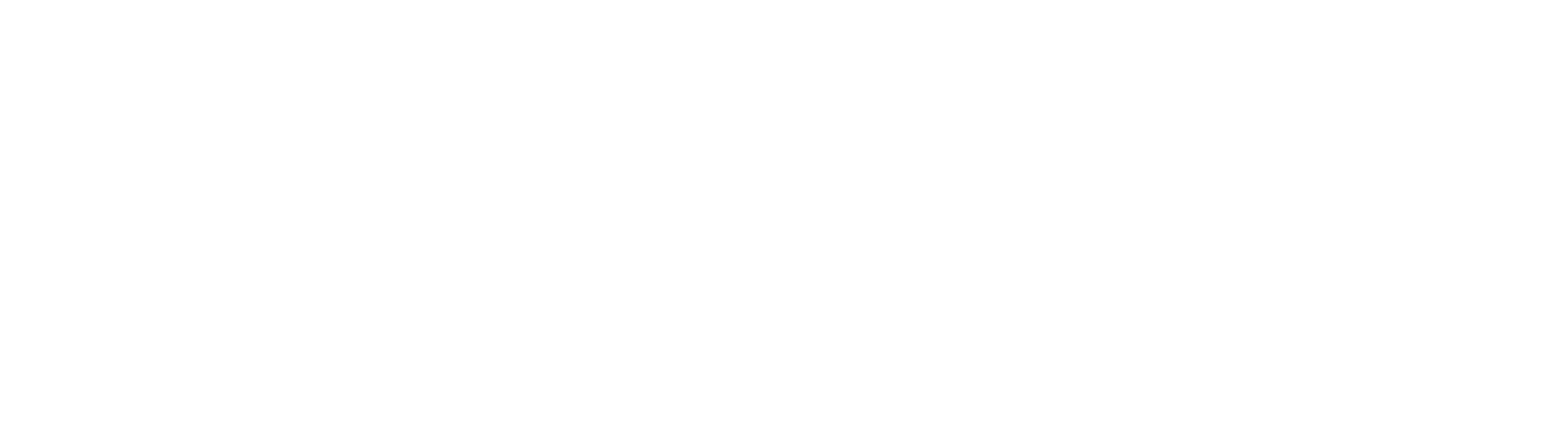 CGTWA 2027 White