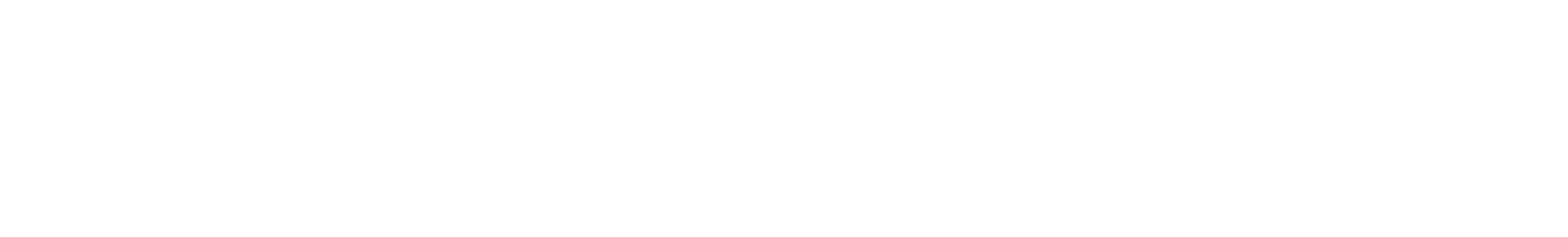 CGTDACH 2027 LOGO White