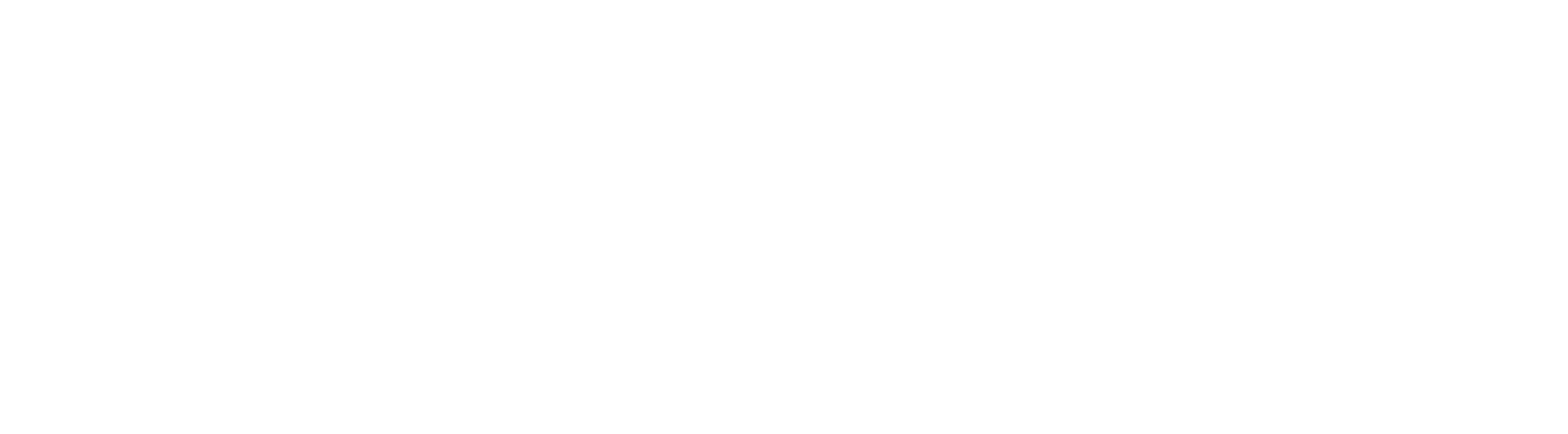 TidesDACH 2027 LOGO WHITE