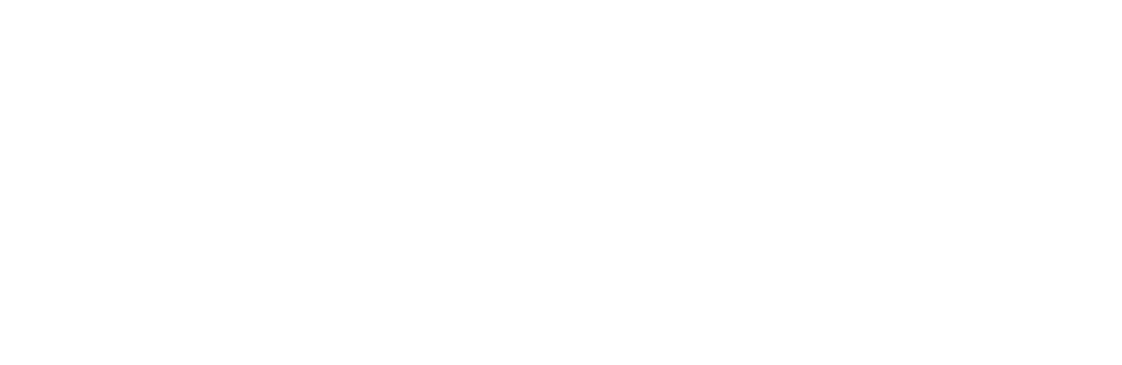 OPWA 2027 White Logo