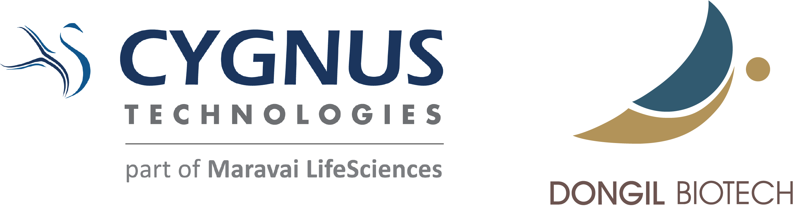 Cygnus and Dongil-01